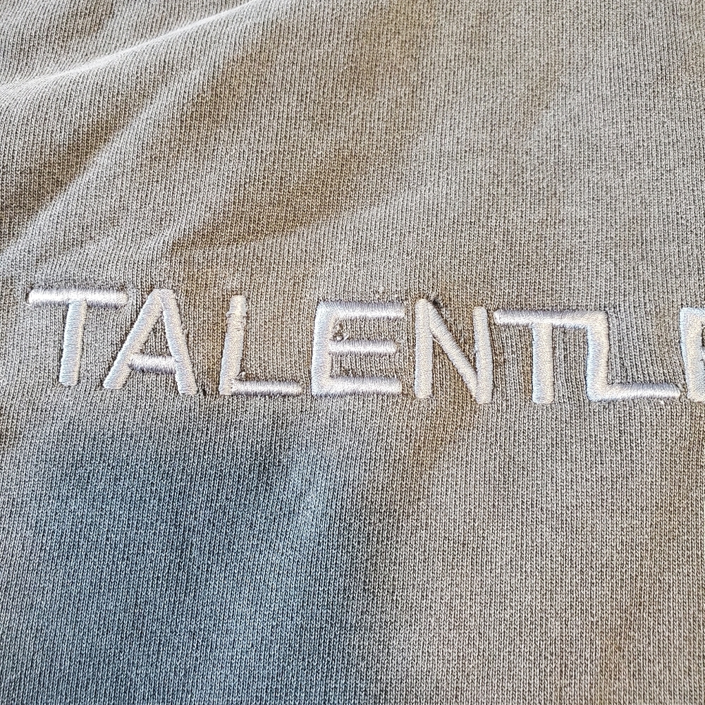 Talentless Heavyweight Gray Hoodie - Picture 2 of 13